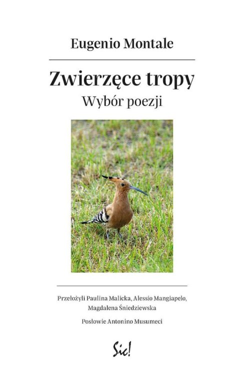 Zwierzęce tropy