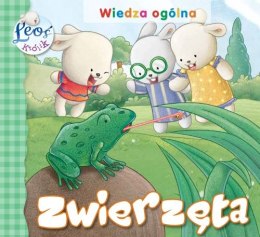 Zwierzęta. Królik Leoś