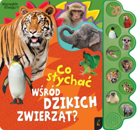 Co słychać wśród dzikich zwierząt? Co słychać...