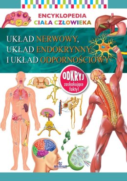 Układ nerwowy układ endokrynny i układ odpornościowy. Encyklopedia ciała człowieka