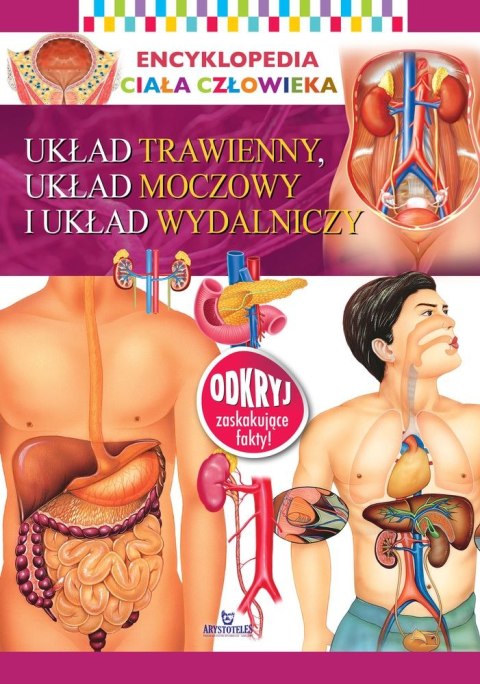 Układ trawienny, układ moczowy i układ wydalniczy. Encyklopedia ciała człowieka