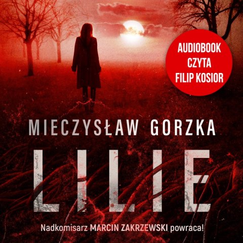 CD MP3 Lilie. Cienie przeszłości. Tom 4