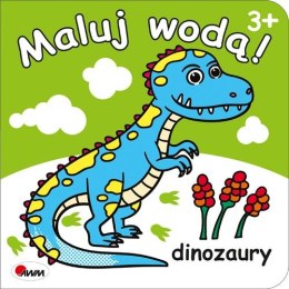 Dinozaury. Maluj wodą!