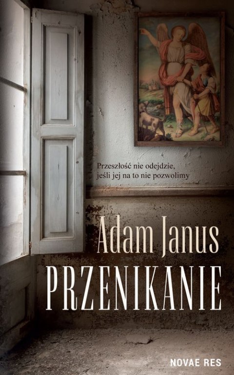 Przenikanie