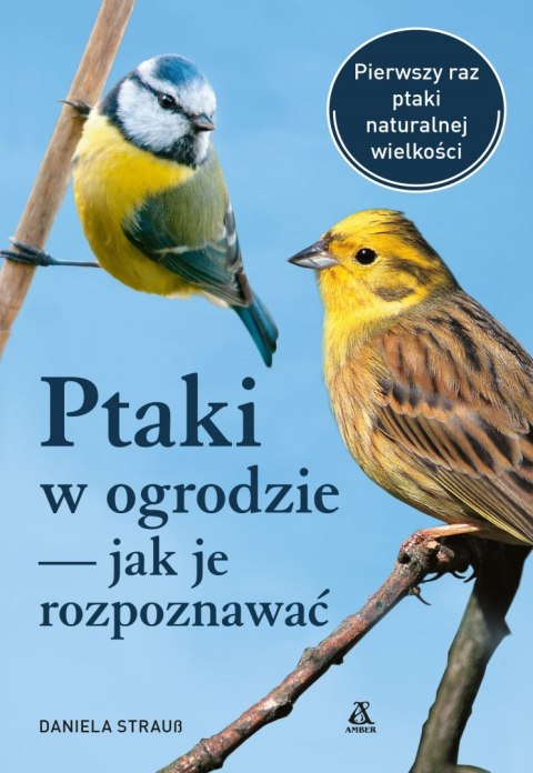 Ptaki w ogrodzie - jak je rozpoznawać wyd. 2023