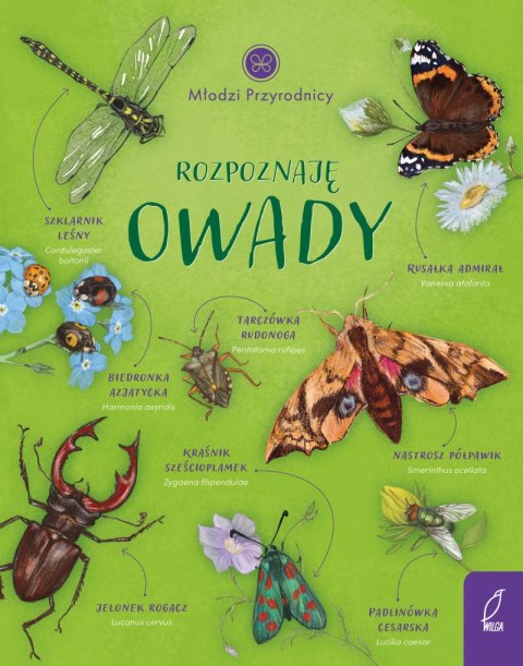 Rozpoznaję owady. Młodzi przyrodnicy