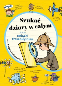 Szukać dziury w całym i inne związki frazeologiczne