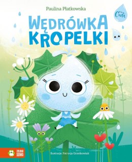 Wędrówka kropelki. Mikrocuda