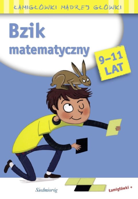 Bzik matematyczny. Łamigłówki mądrej główki