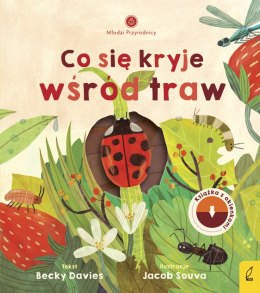 Co się kryje wśród traw. Młodzi przyrodnicy