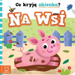 Na wsi. Co kryją okienka?