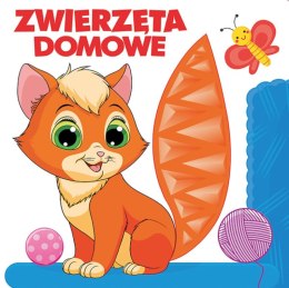 Zwierzęta domowe