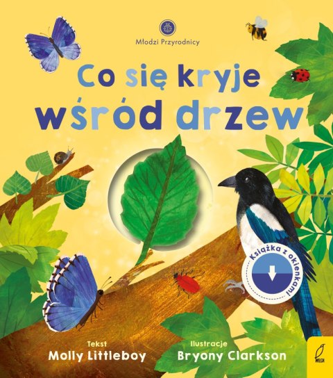 Co się kryje wśród drzew. Młodzi przyrodnicy