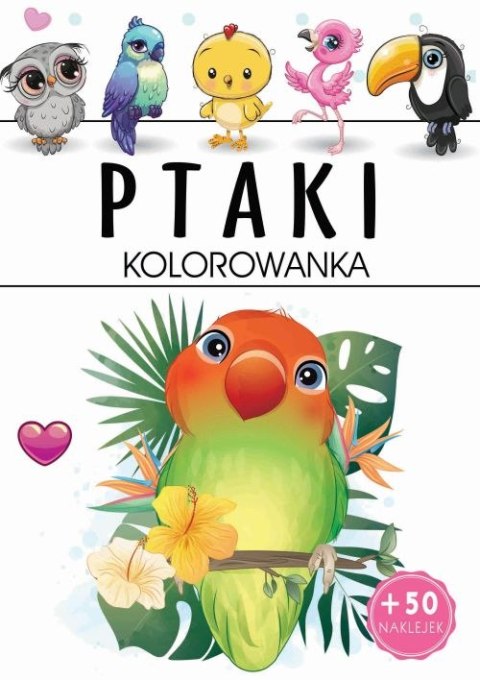 Ptaki. Kolorowanka