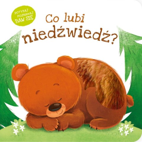 Co lubi niedźwiedź? Co lubi