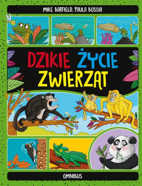 Dzikie życie zwierząt