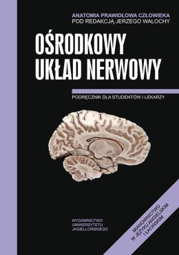 Anatomia prawidłowa człowieka ośrodkowy układ nerwowy podręcznik dla studentów i lekarzy