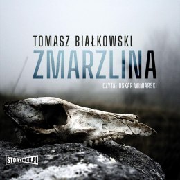 CD Mp3 Zmarzlina