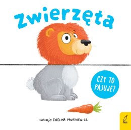 Zwierzęta. Czy to pasuje?