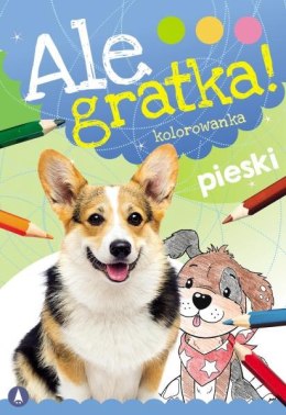 Pieski. Ale Gratka!