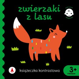 Zwierzaki z lasu. Książeczka kontrastowa. Pierwsze książeczki