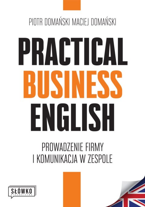 Practical Business English. Prowadzenie firmy i komunikacja w zespole