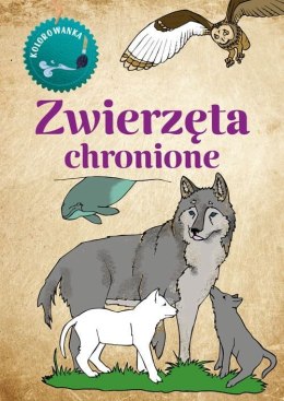 Zwierzęta chronione. Kolorowanka