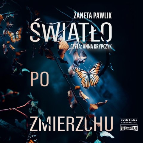 CD MP3 Światło po zmierzchu