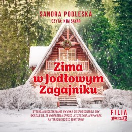 CD MP3 Zima w Jodłowym Zagajniku