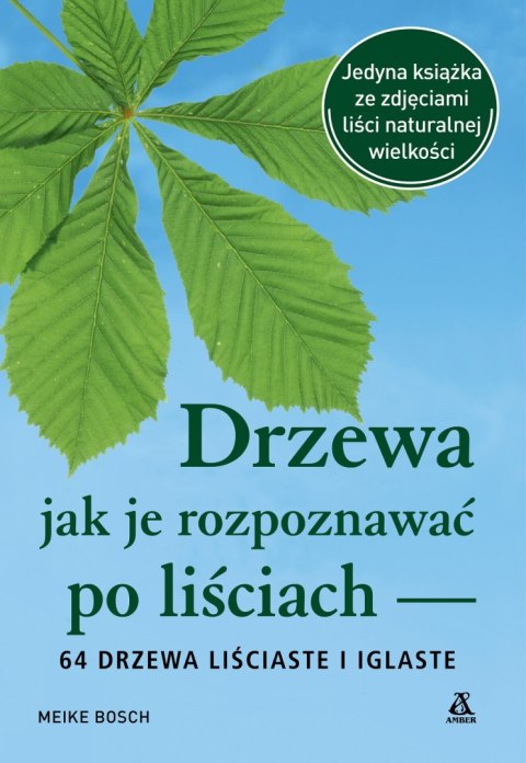 Drzewa - jak je rozpoznawać po liściach wyd. 2024