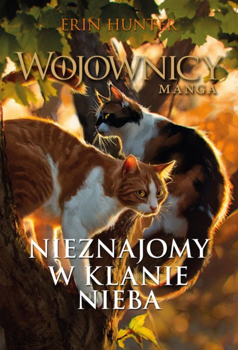 Nieznajomy w Klanie Nieba. Wojownicy. Manga