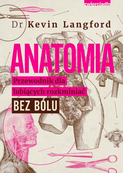 Anatomia. Przewodnik dla lubiących rozkminiać bez bólu