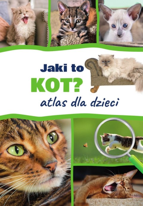 Atlas dla dzieci. Jaki to kot?