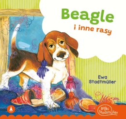 Beagle i inne rasy