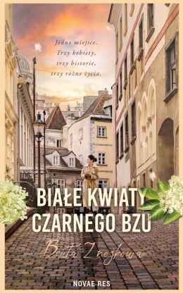 Białe kwiaty czarnego bzu