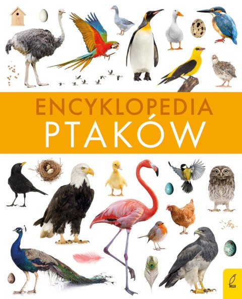 Encyklopedia ptaków