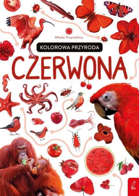 Kolorowa przyroda. Czerwona. Młodzi przyrodnicy