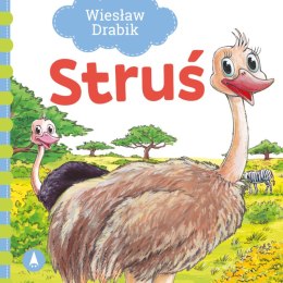 Struś