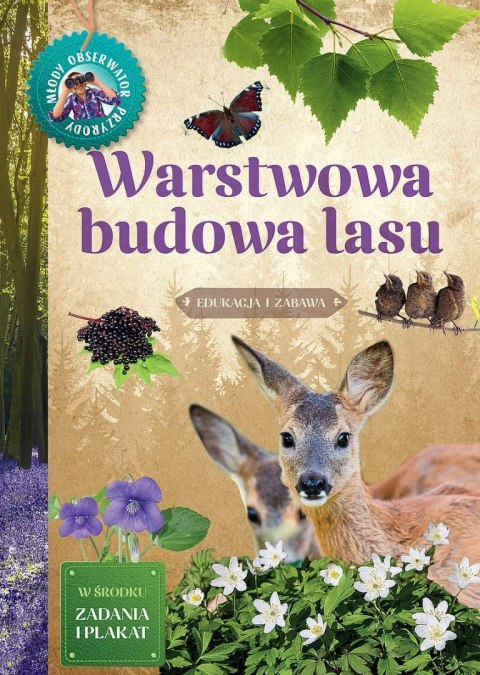 Warstwowa budowa lasu. Młody Obserwator Przyrody