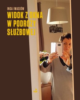 Widok z okna w podróży służbowej