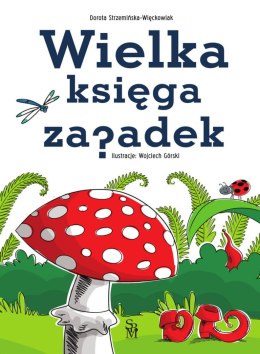 Wielka księga zagadek