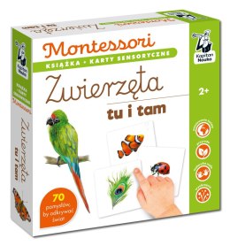 Zwierzęta tu i tam. Kapitan Nauka. Montessori. Karty sensoryczne