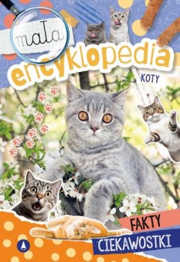 Koty. Mała encyklopedia