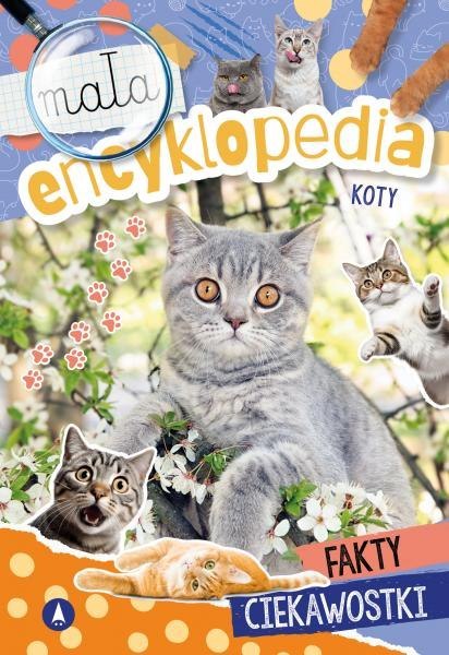 Koty. Mała encyklopedia