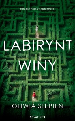 Labirynt winy