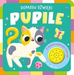 Pupile. Dopasuj dźwięki