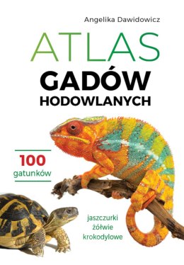 Atlas gadów hodowlanych. 100 gatunków. Jaszczurki, żółwie, krokodylowe