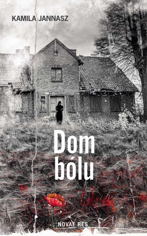 Dom bólu