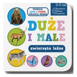 Duże i małe. Zwierzeta leśne