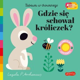 Gdzie się schował króliczek? Akademia mądrego dziecka. Zabawa w chowanego